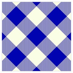 Blue And White Diagonal Plaids Lightweight Scarf 