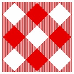 Red And White Diagonal Plaids Lightweight Scarf  by ConteMonfrey