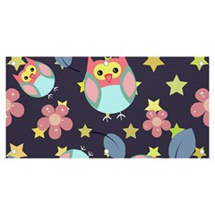 Owl Star Pattern Background Banner And Sign 6  X 3 