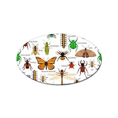 Insects-seamless-pattern Sticker Oval (10 Pack)