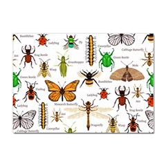 Insects-seamless-pattern Sticker A4 (100 Pack) by Wegoenart