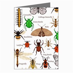 Insects-seamless-pattern Greeting Cards (pkg Of 8) by Wegoenart