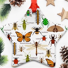 Insects-seamless-pattern Star Ornament (two Sides) by Wegoenart