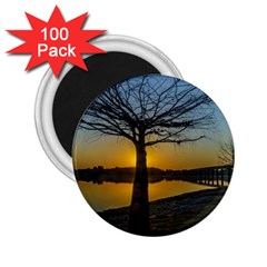 Grande Stream Landscape, Flores, Uruguay002 2 25  Magnets (100 Pack)  by dflcprintsclothing