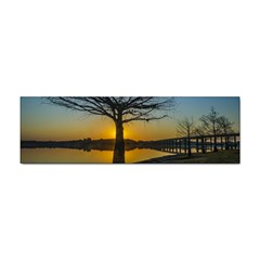 Grande Stream Landscape, Flores, Uruguay002 Sticker (bumper) by dflcprintsclothing