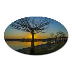 Grande Stream Landscape, Flores, Uruguay002 Oval Magnet