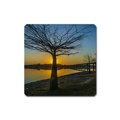 Grande Stream Landscape, Flores, Uruguay002 Square Magnet by dflcprintsclothing