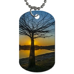 Grande Stream Landscape, Flores, Uruguay002 Dog Tag (one Side) by dflcprintsclothing