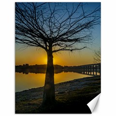 Grande Stream Landscape, Flores, Uruguay002 Canvas 12  X 16  by dflcprintsclothing