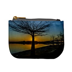 Grande Stream Landscape, Flores, Uruguay002 Mini Coin Purse by dflcprintsclothing