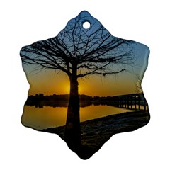 Grande Stream Landscape, Flores, Uruguay002 Snowflake Ornament (two Sides) by dflcprintsclothing