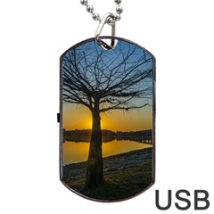 Grande Stream Landscape, Flores, Uruguay002 Dog Tag Usb Flash (one Side) by dflcprintsclothing