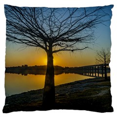 Grande Stream Landscape, Flores, Uruguay002 Large Cushion Case (one Side) by dflcprintsclothing