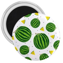 Watermelon Fruit 3  Magnets