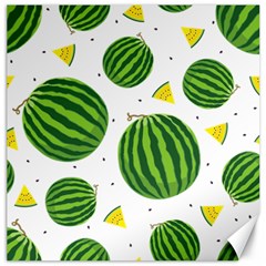 Watermelon Fruit Canvas 20  X 20  by ConteMonfrey