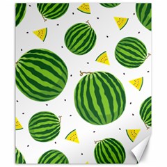 Watermelon Fruit Canvas 20  X 24  by ConteMonfrey