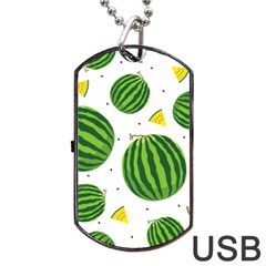 Watermelon Fruit Dog Tag Usb Flash (one Side) by ConteMonfrey