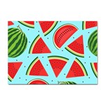 Blue Watermelon Sticker A4 (10 pack) Front