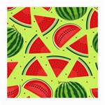 Pastel Watermelon   Medium Glasses Cloth Front