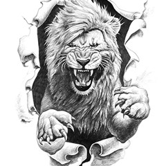 Drawing Angry Male Lion Roar Animal Play Mat (rectangle) by danenraven