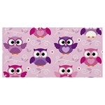 Seamless Cute Colourfull Owl Kids Pattern Banner and Sign 8  x 4  Front