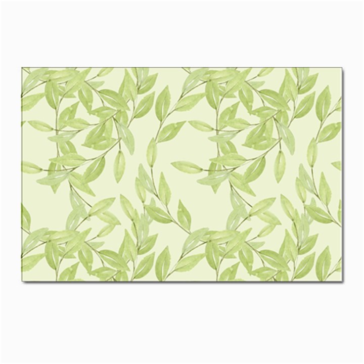 Watercolor Leaves On The Wall  Postcard 4 x 6  (Pkg of 10)