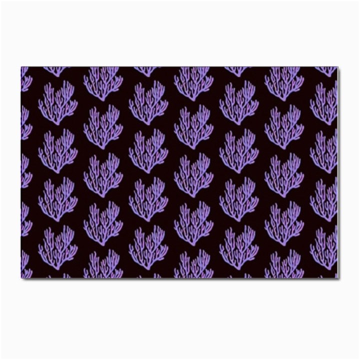 Black Seaweed Postcard 4 x 6  (Pkg of 10)