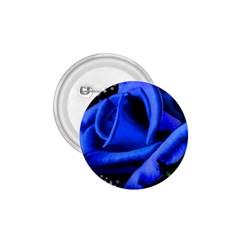 Blue Rose Bloom Blossom 1 75  Buttons by Wegoenart