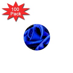 Blue Rose Bloom Blossom 1  Mini Magnets (100 Pack)  by Wegoenart