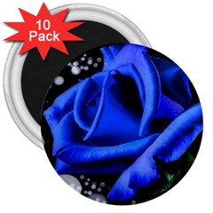 Blue Rose Bloom Blossom 3  Magnets (10 Pack)  by Wegoenart