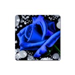 Blue Rose Bloom Blossom Square Magnet Front