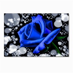 Blue Rose Bloom Blossom Postcards 5  X 7  (pkg Of 10) by Wegoenart