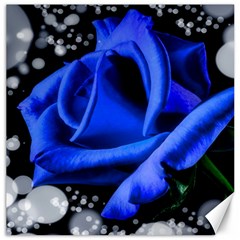 Blue Rose Bloom Blossom Canvas 12  X 12  by Wegoenart