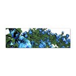 Flower Roses Rose Nature Bouquet Sticker (Bumper) Front