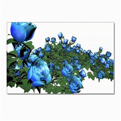 Flower Roses Rose Nature Bouquet Postcards 5  X 7  (pkg Of 10)