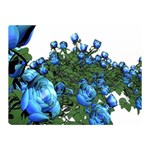 Flower Roses Rose Nature Bouquet Double Sided Flano Blanket (Mini)  35 x27  Blanket Front