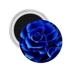 Blue Rose Flower Plant Romance 2 25  Magnets by Wegoenart