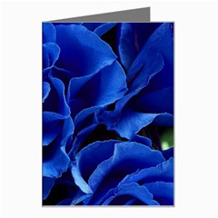 Blue Rose Flower Plant Romance Greeting Card