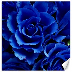 Blue Rose Flower Plant Romance Canvas 12  X 12  by Wegoenart