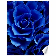 Blue Rose Flower Plant Romance Canvas 18  X 24  by Wegoenart