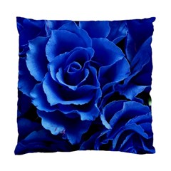 Blue Rose Flower Plant Romance Standard Cushion Case (two Sides)