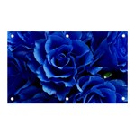 Blue Rose Flower Plant Romance Banner and Sign 5  x 3  Front