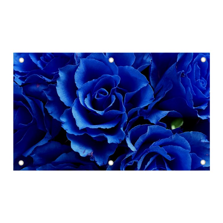 Blue Rose Flower Plant Romance Banner and Sign 5  x 3 