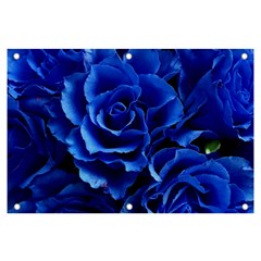 Blue Rose Flower Plant Romance Banner And Sign 6  X 4 