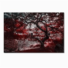 Tree Red Nature Abstract Mood Postcard 4 x 6  (pkg Of 10)