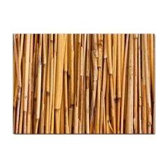 Asian Background Bamboo Sticker A4 (100 Pack)