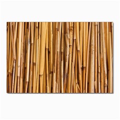 Asian Background Bamboo Postcard 4 x 6  (pkg Of 10)