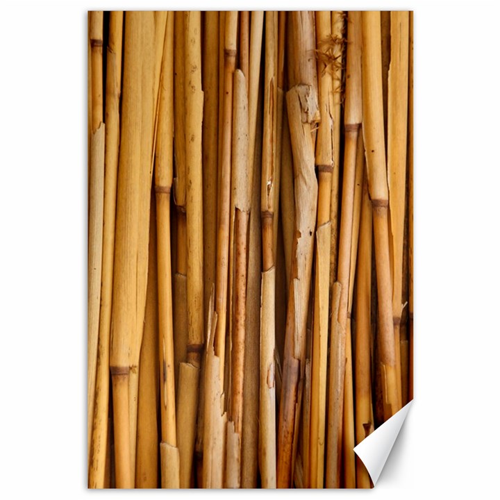 Asian Background Bamboo Canvas 12  x 18 