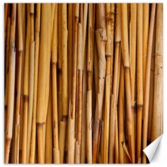 Asian Background Bamboo Canvas 20  X 20  by Wegoenart