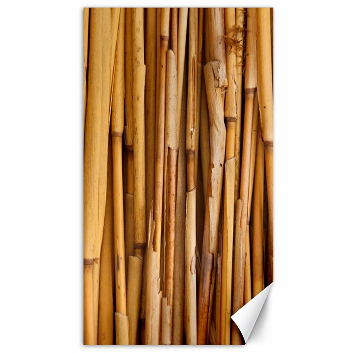 Asian Background Bamboo Canvas 40  x 72 